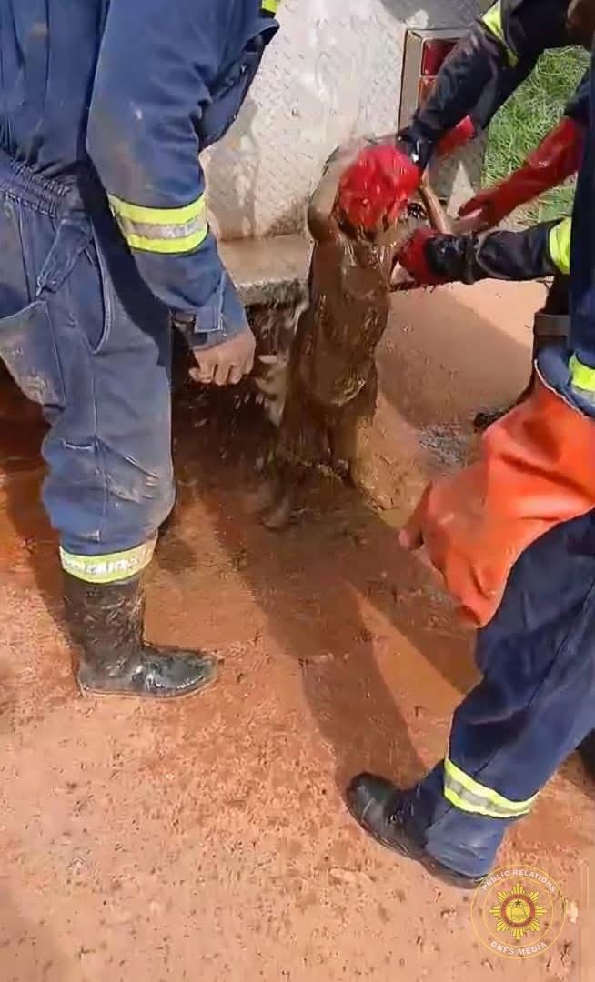 GNFS Rescues Toddler from Latrine in Nkawkaw