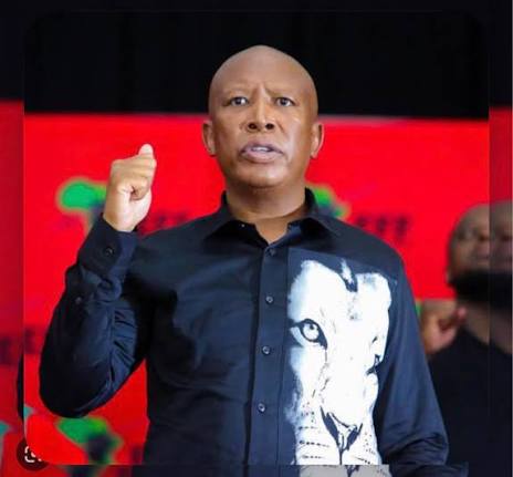 Julius Malema Apologises to Africans Over Xenophobic Attacks in South Africa