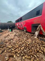     Yam Truck Slams into VIP Bus at Osino, Several Injured