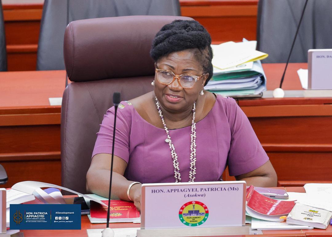 Let's invest in Ghana’s 12 million youth or miss demographic dividend – Population Caucus Chair tells Parliament