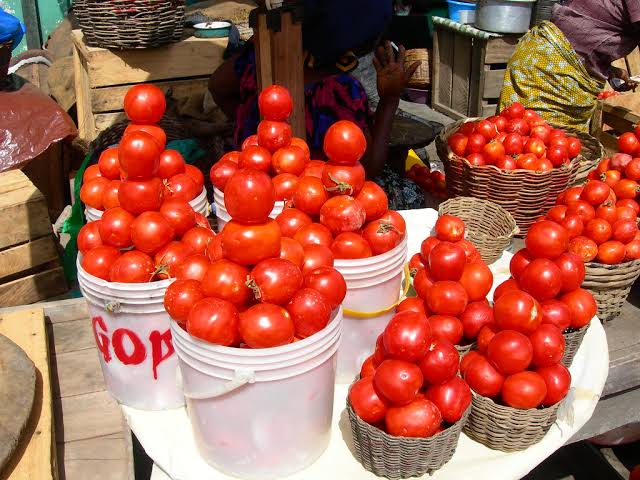 Burkina Faso Halts Fresh Tomato Exports to Support Local Processing Industry
