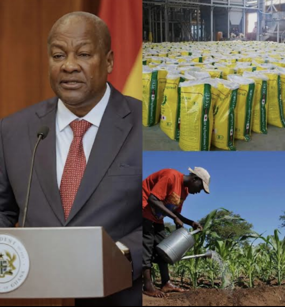 Mahama scraps fertiliser subsidy, introduces free supply for farmers